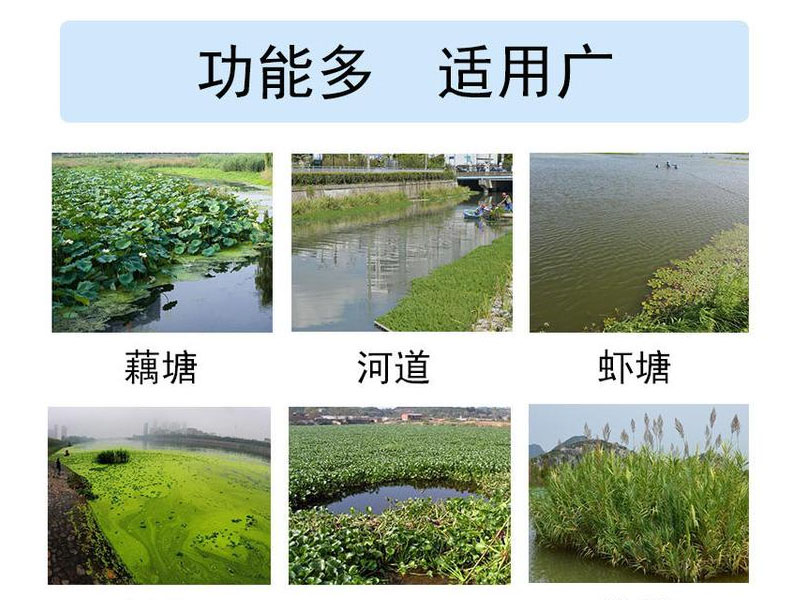 芦苇收割船